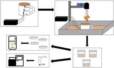 Using simulated wildland fire to assess microbial survival at multiple depths from biocrust and bare soils